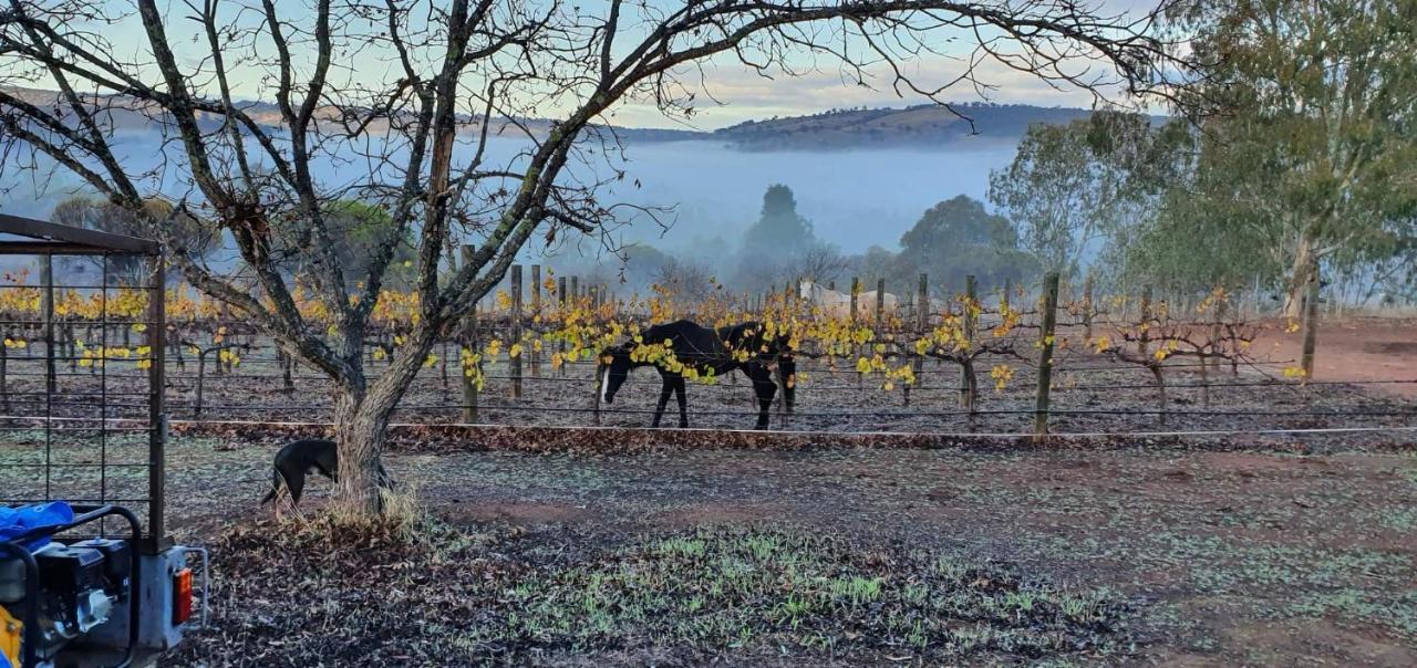 Pecan Hill Bnb Bed & Breakfast Toodyay Exterior photo