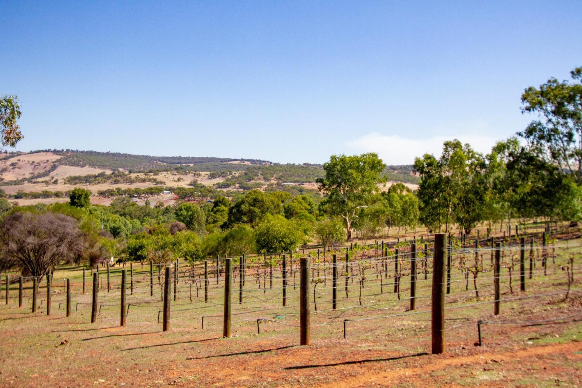 Pecan Hill Bnb Bed & Breakfast Toodyay Exterior photo