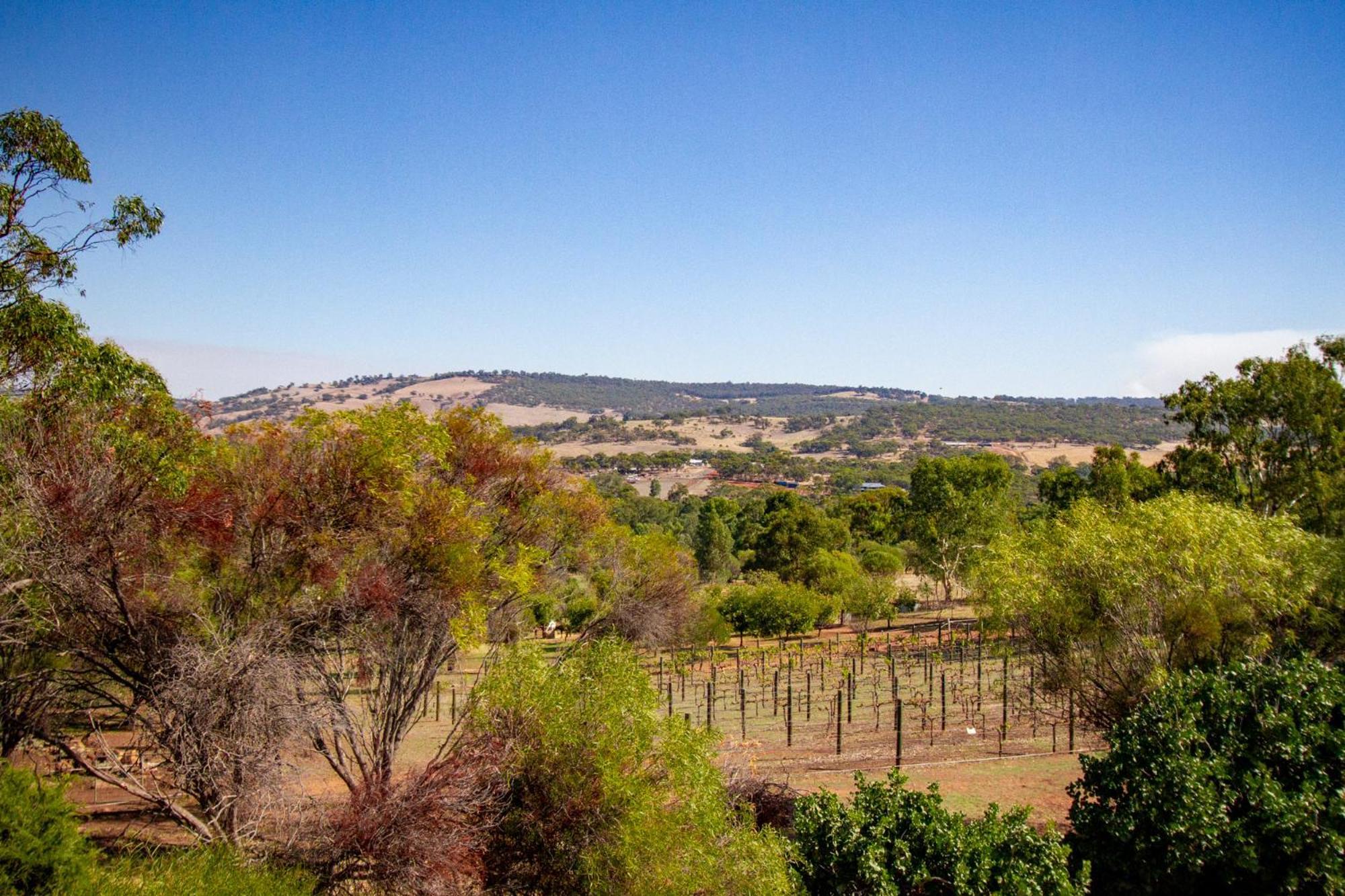 Pecan Hill Bnb Bed & Breakfast Toodyay Exterior photo