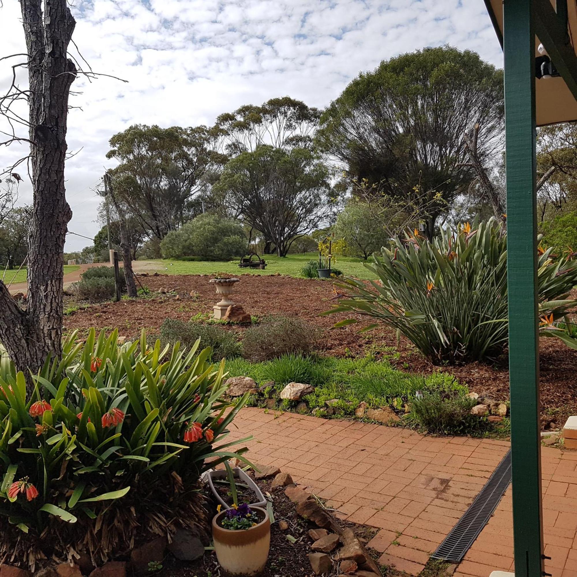 Pecan Hill Bnb Toodyay Exterior photo