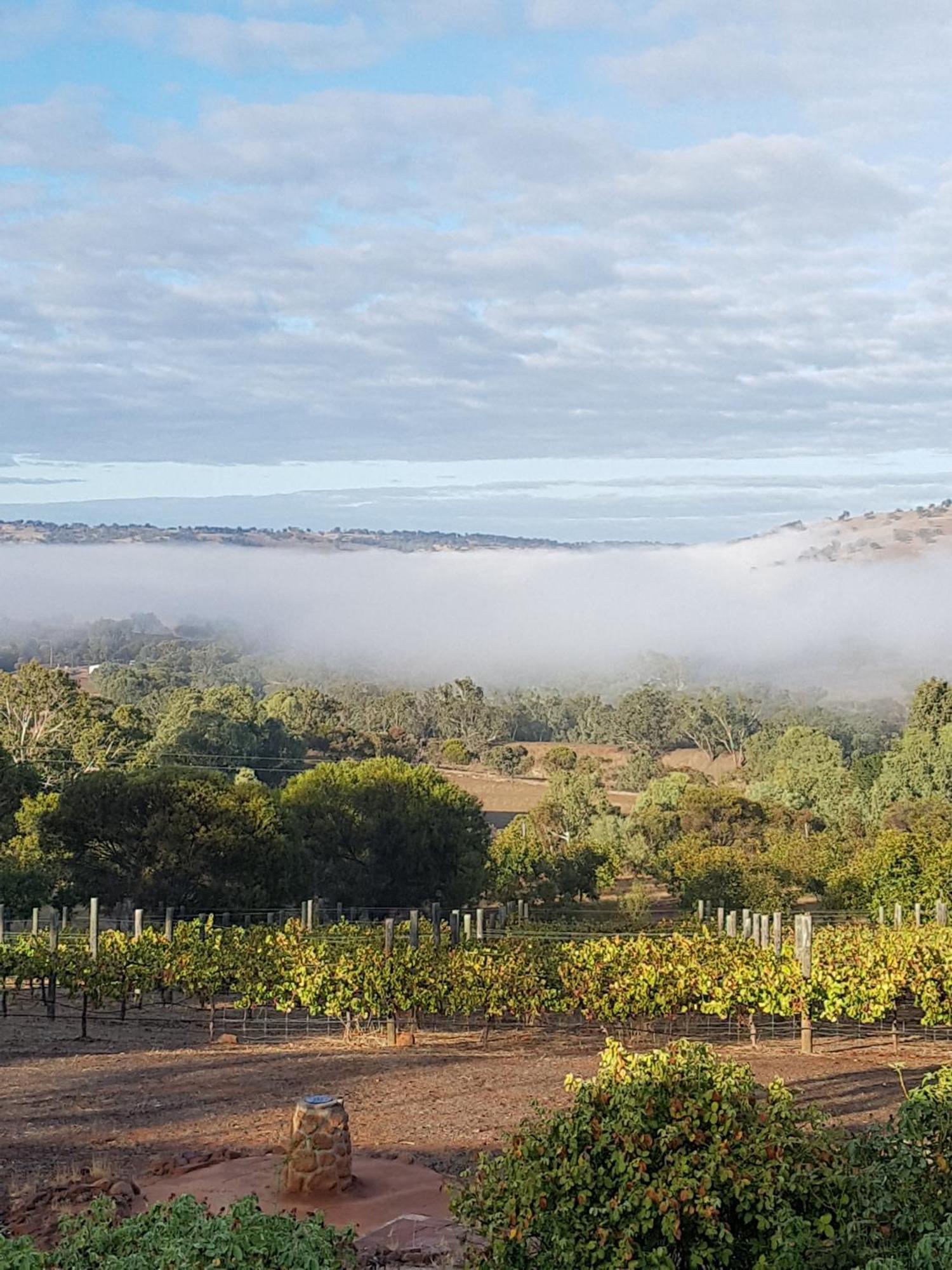 Pecan Hill Bnb Bed & Breakfast Toodyay Exterior photo